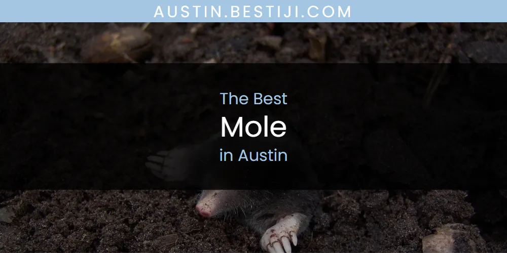 The Absolute Best Mole in Austin  [Updated 2025]